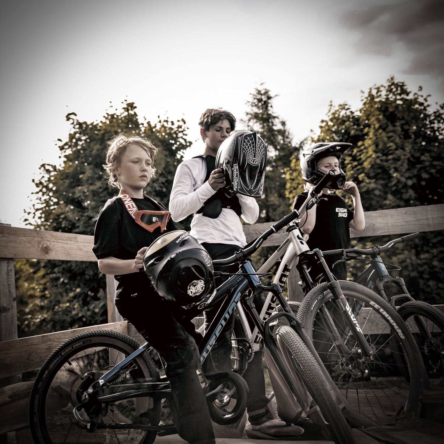 COADY 20 SL DISC grey | EIGHTSHOT Bicycles